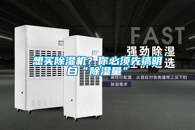 想買(mǎi)除濕機？你必須先搞明白“除濕量”