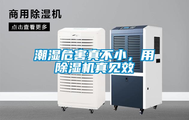 潮濕危害真不小，用除濕機真見(jiàn)效