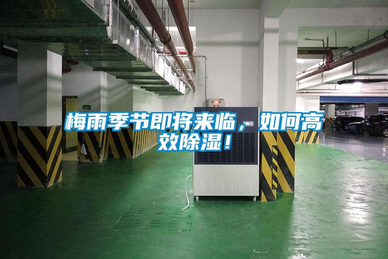 梅雨季節即將來(lái)臨，如何高效除濕！