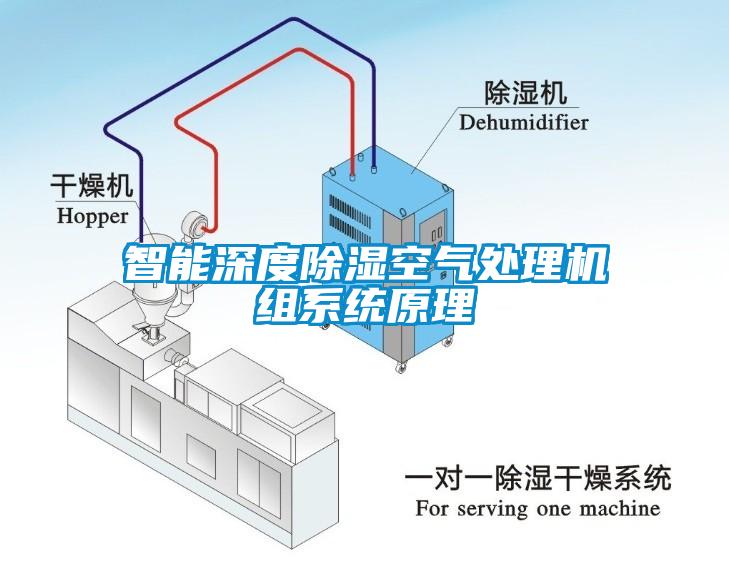 智能深度除濕空氣處理機組系統原理