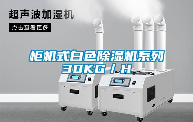 柜機式白色除濕機系列30KG／H