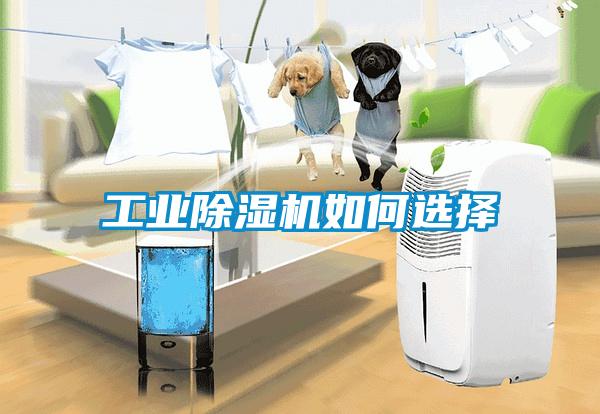 工業(yè)除濕機如何選擇