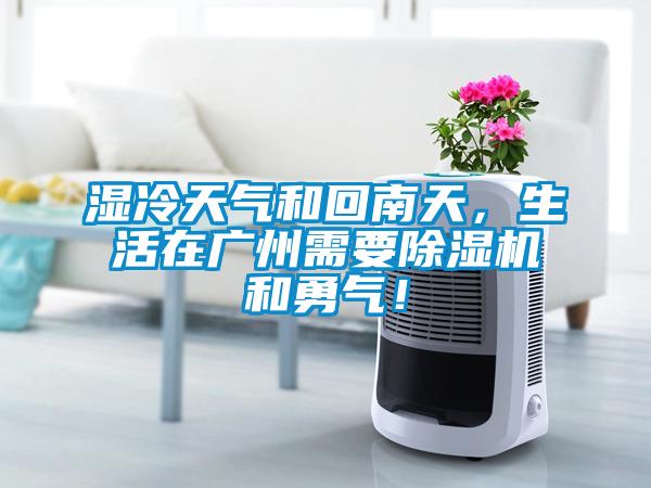 濕冷天氣和回南天，生活在廣州需要除濕機和勇氣！