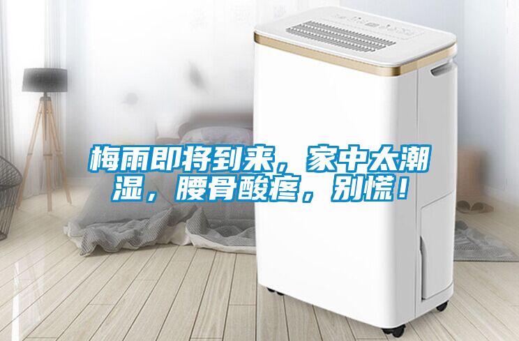 梅雨即將到來(lái)，家中太潮濕，腰骨酸疼，別慌！