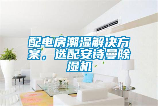 配電房潮濕解決方案，選配安詩(shī)曼除濕機
