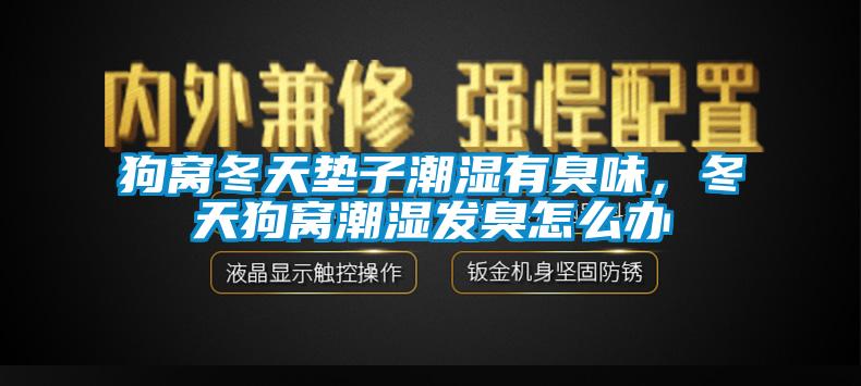 狗窩冬天墊子潮濕有臭味，冬天狗窩潮濕發(fā)臭怎么辦