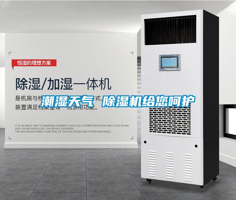 潮濕天氣 除濕機給您呵護