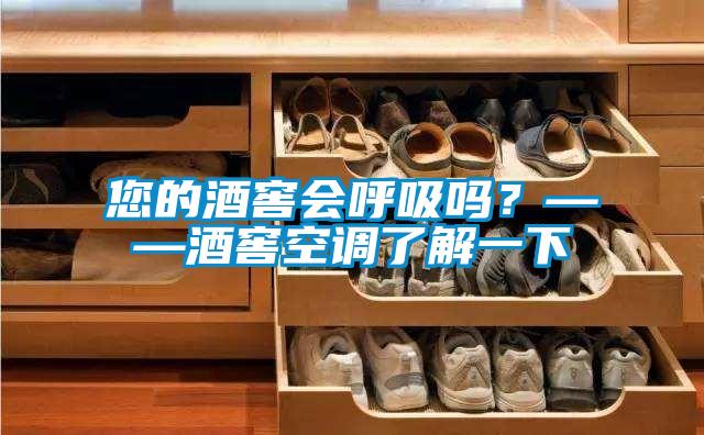您的酒窖會(huì )呼吸嗎？——酒窖空調了解一下