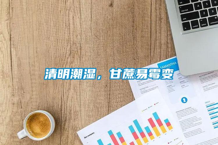 清明潮濕，甘蔗易霉變