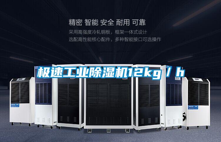 極速工業(yè)除濕機12kg／h