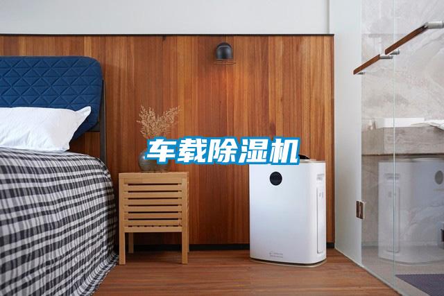 車(chē)載除濕機