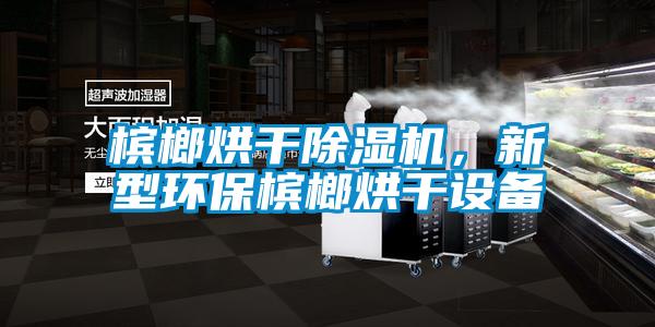 檳榔烘干除濕機，新型環(huán)保檳榔烘干設備