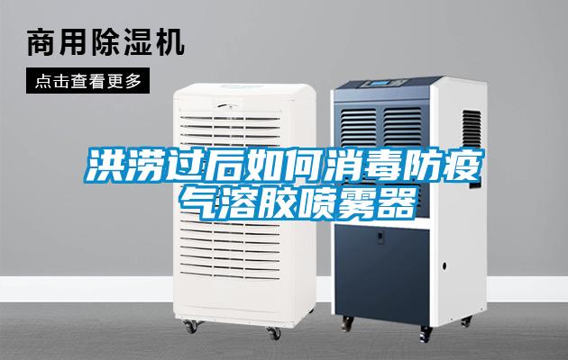 洪澇過(guò)后如何消毒防疫 氣溶膠噴霧器