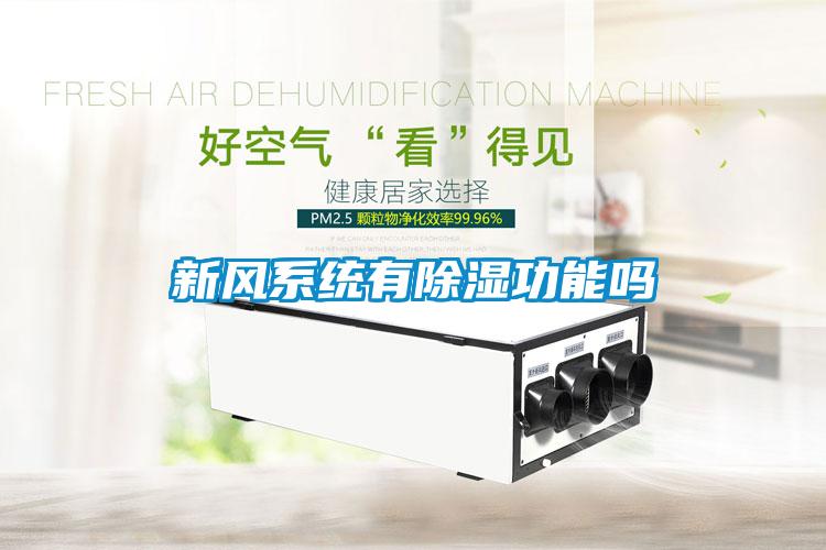 新風(fēng)系統有除濕功能嗎