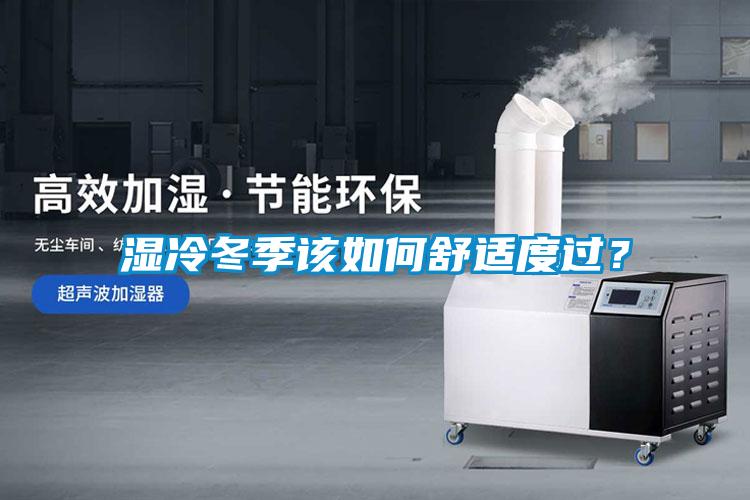 濕冷冬季該如何舒適度過(guò)？