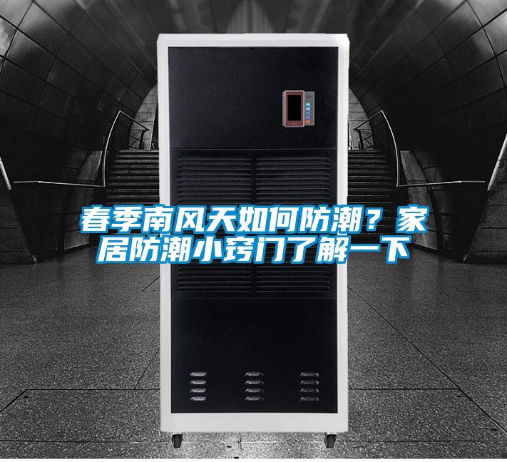 春季南風(fēng)天如何防潮？家居防潮小竅門(mén)了解一下
