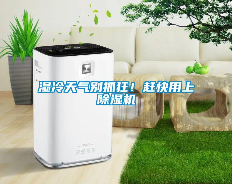 濕冷天氣別抓狂！趕快用上除濕機