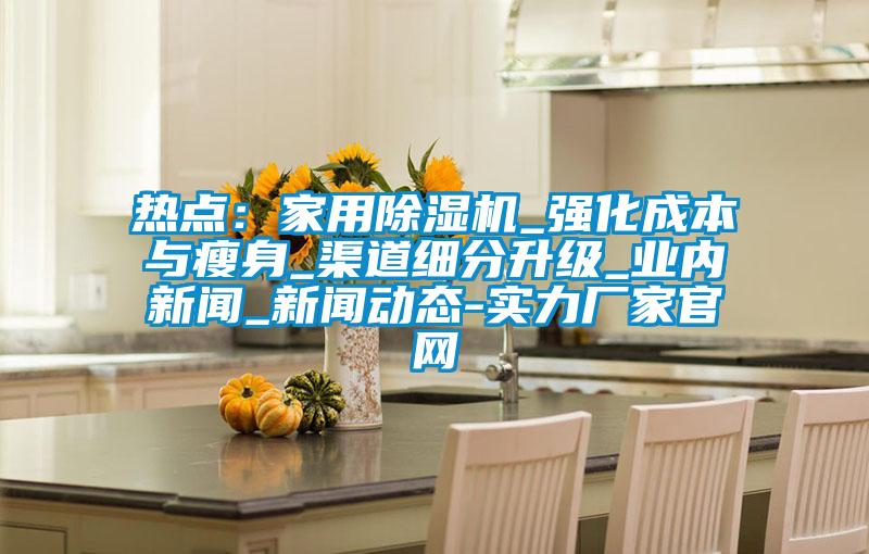 熱點(diǎn)：家用除濕機_強化成本與瘦身_渠道細分升級_業(yè)內新聞_新聞動(dòng)態(tài)-實(shí)力廠(chǎng)家官網(wǎng)
