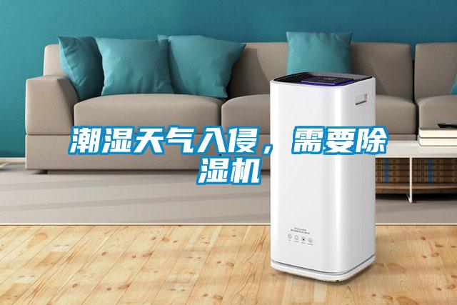 潮濕天氣入侵，需要除濕機