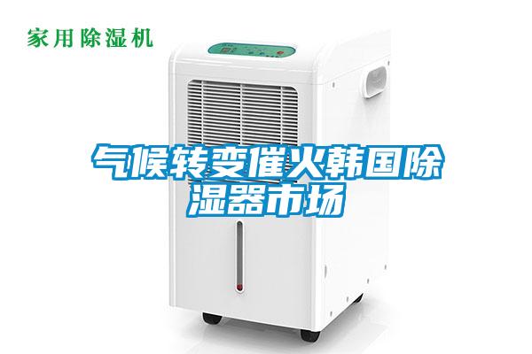 氣候轉變催火韓國除濕器市場(chǎng)