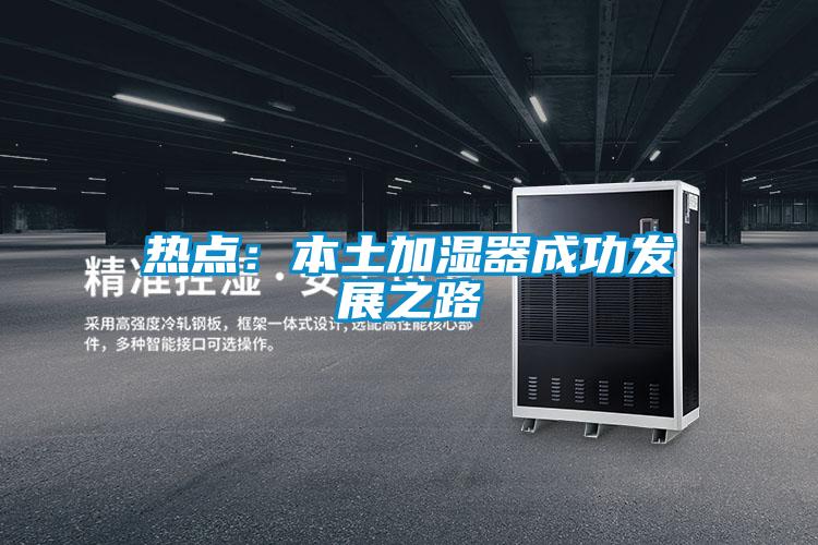 熱點(diǎn)：本土加濕器成功發(fā)展之路