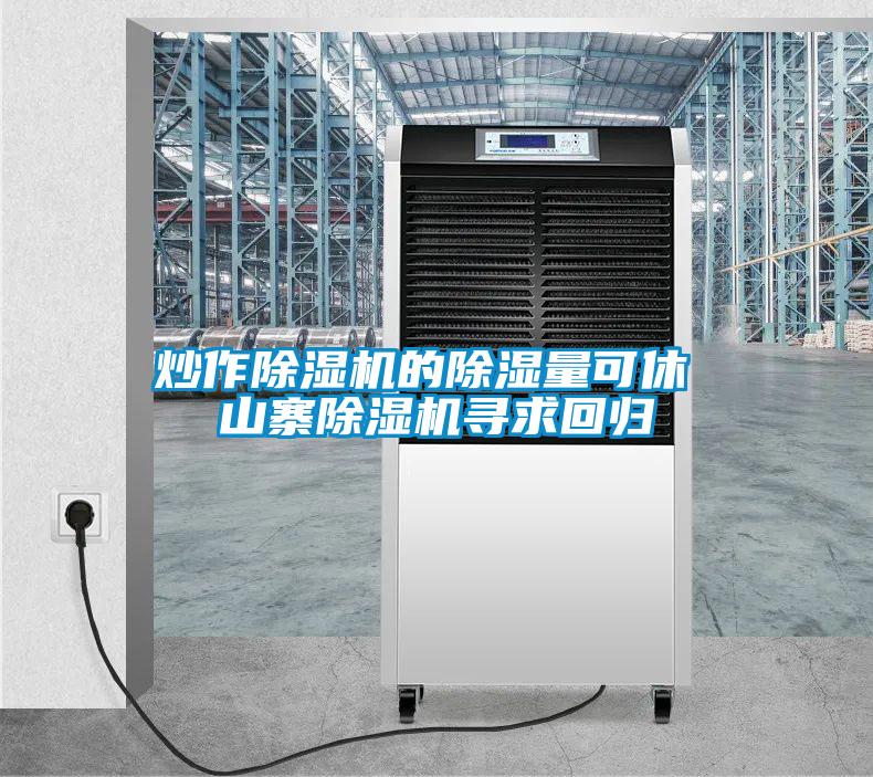 炒作除濕機的除濕量可休 山寨除濕機尋求回歸