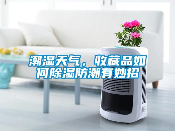 潮濕天氣，收藏品如何除濕防潮有妙招
