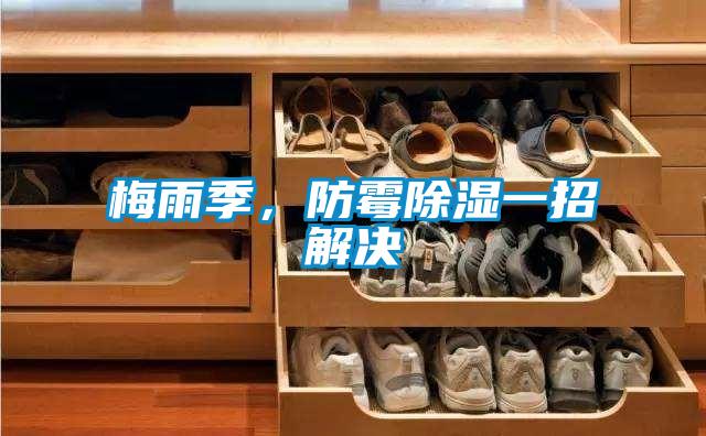 梅雨季，防霉除濕一招解決
