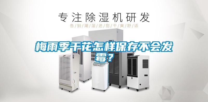 梅雨季干花怎樣保存不會(huì )發(fā)霉？