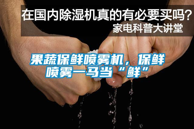 果蔬保鮮噴霧機，保鮮噴霧一馬當“鮮”