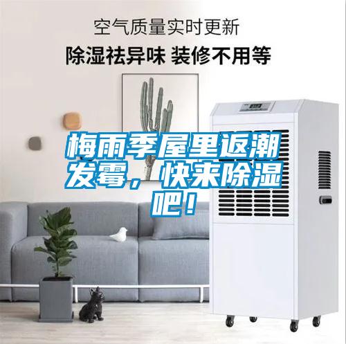 梅雨季屋里返潮發(fā)霉，快來(lái)除濕吧！