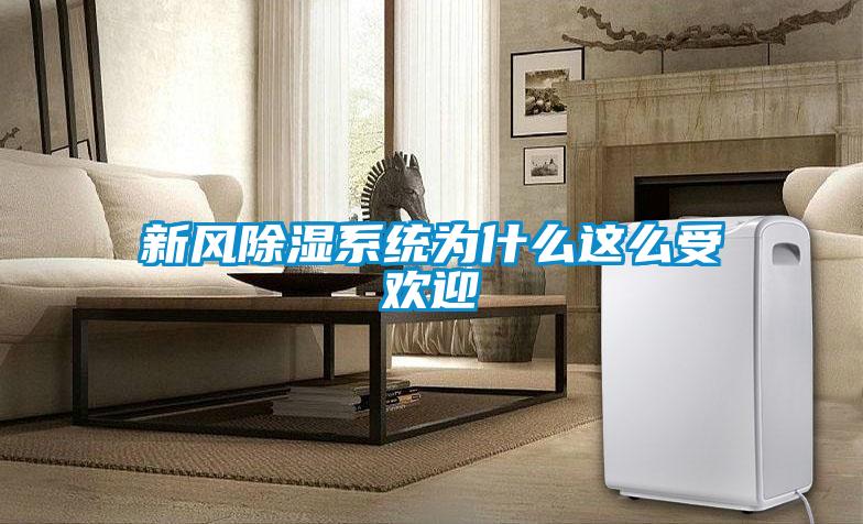 新風(fēng)除濕系統為什么這么受歡迎