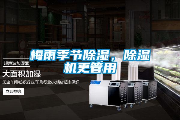 梅雨季節除濕，除濕機更管用