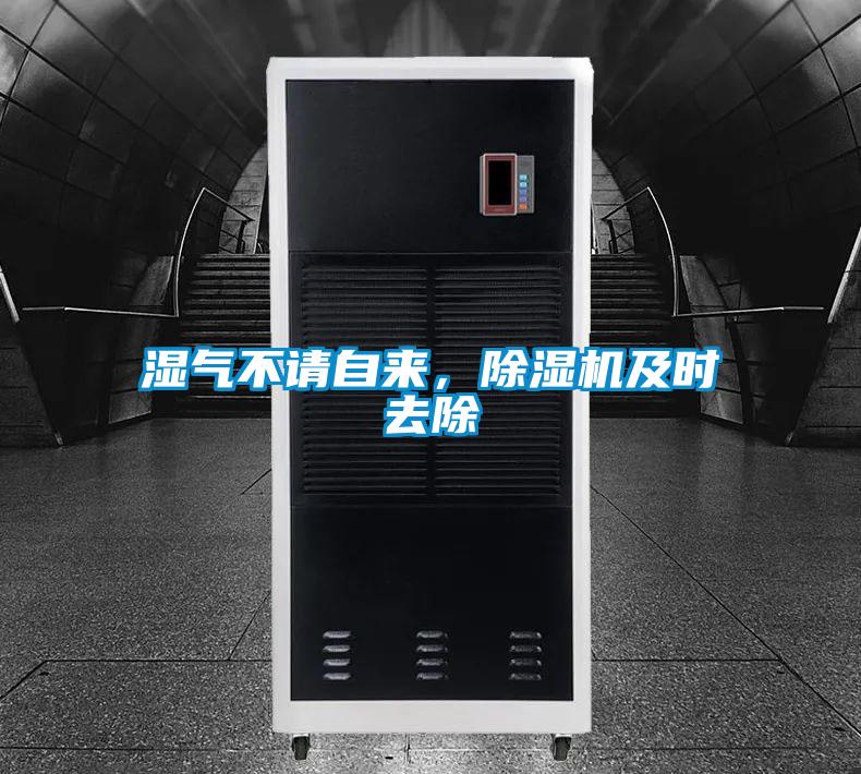 濕氣不請自來(lái)，除濕機及時(shí)去除
