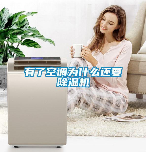 有了空調為什么還要除濕機