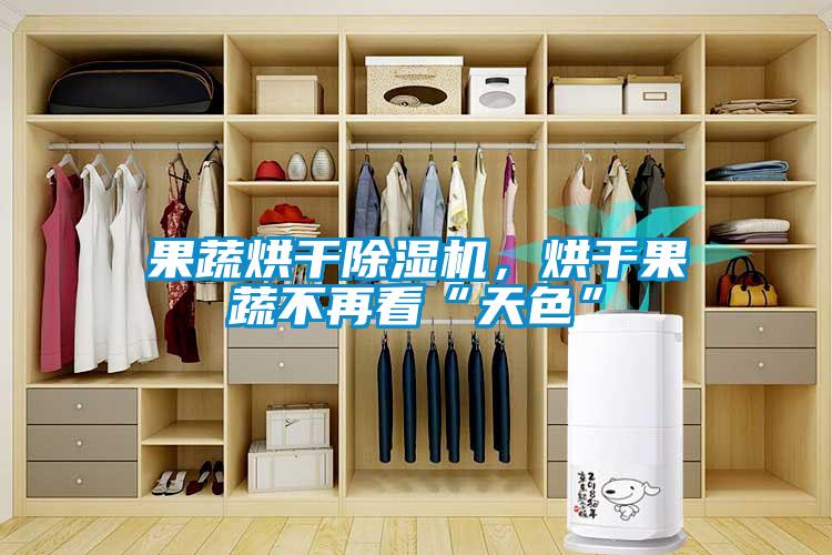 果蔬烘干除濕機，烘干果蔬不再看“天色”