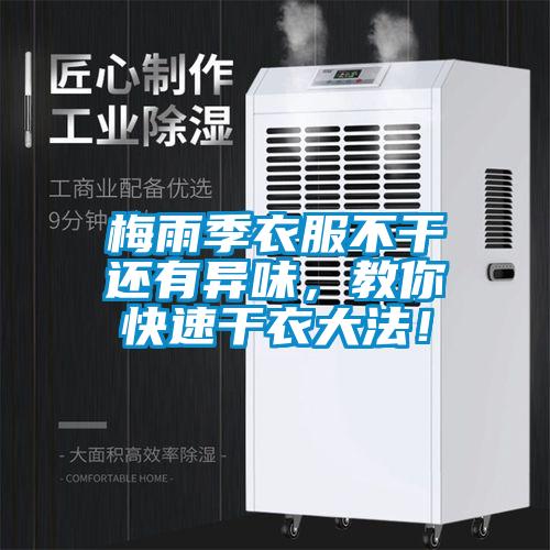 梅雨季衣服不干還有異味，教你快速干衣大法！