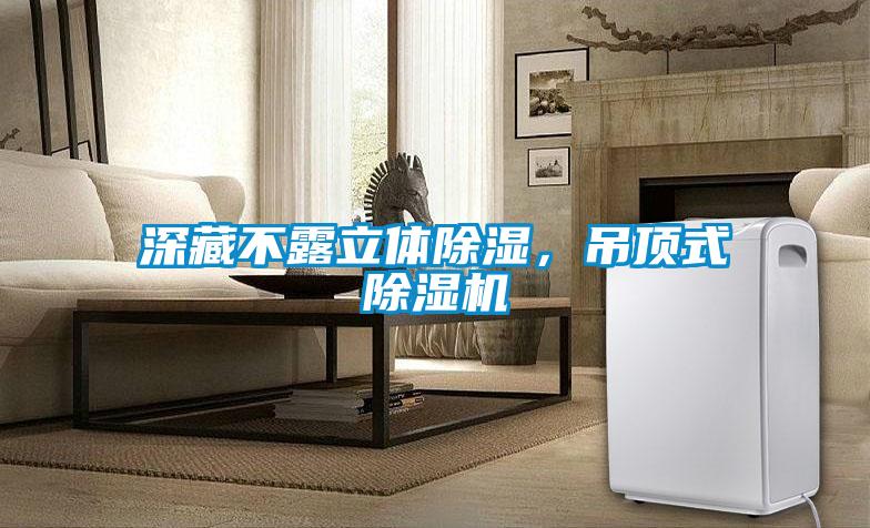深藏不露立體除濕，吊頂式除濕機