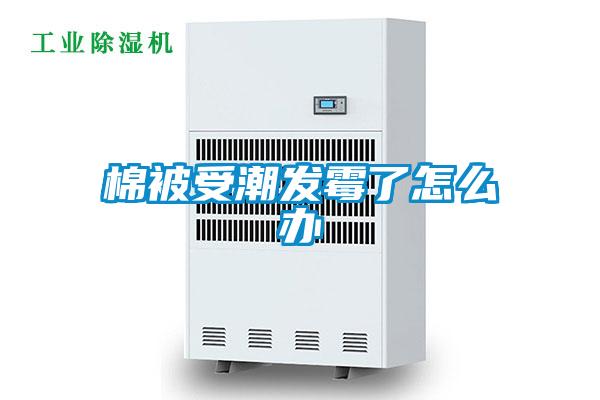 棉被受潮發(fā)霉了怎么辦