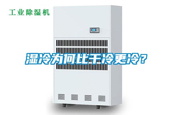 濕冷為何比干冷更冷？