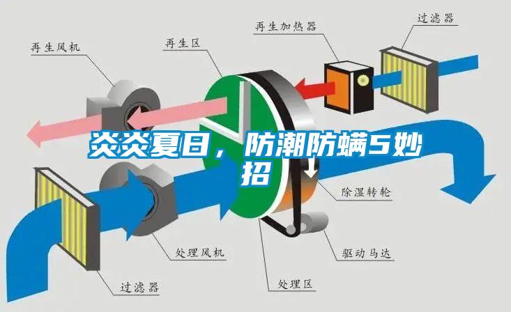 炎炎夏日，防潮防螨5妙招