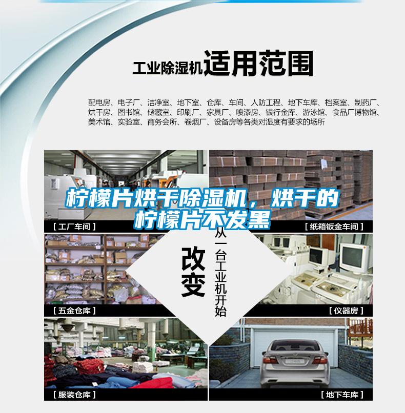 檸檬片烘干除濕機，烘干的檸檬片不發(fā)黑