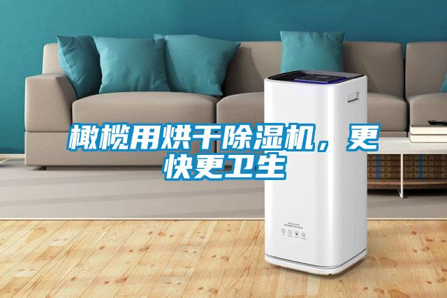 橄欖用烘干除濕機，更快更衛生