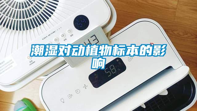 潮濕對動(dòng)植物標本的影響
