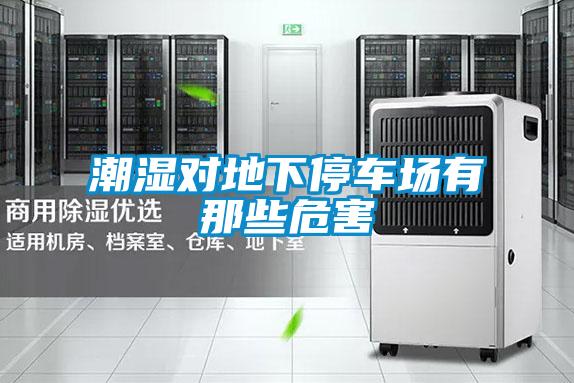 潮濕對地下停車(chē)場(chǎng)有那些危害