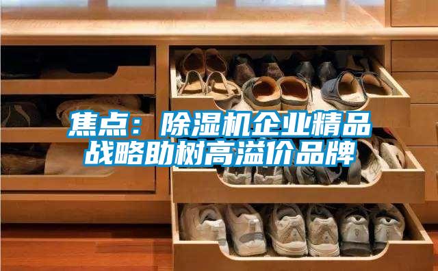 焦點(diǎn)：除濕機企業(yè)精品戰略助樹(shù)高溢價(jià)品牌