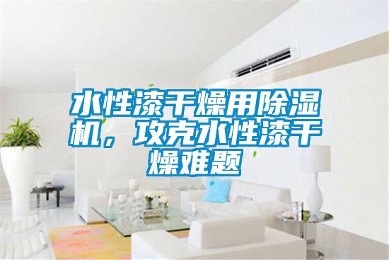 水性漆干燥用除濕機，攻克水性漆干燥難題