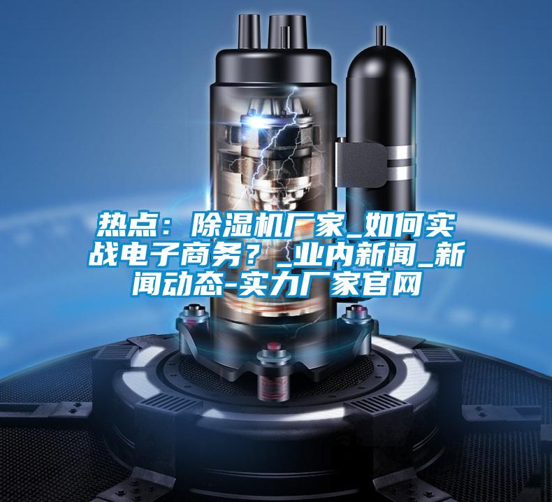 熱點(diǎn)：除濕機廠(chǎng)家_如何實(shí)戰電子商務(wù)？_業(yè)內新聞_新聞動(dòng)態(tài)-實(shí)力廠(chǎng)家官網(wǎng)