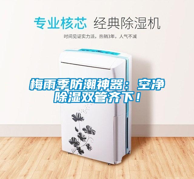 梅雨季防潮神器：空凈除濕雙管齊下！