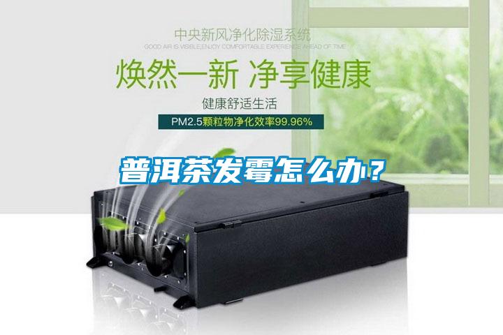 普洱茶發(fā)霉怎么辦？